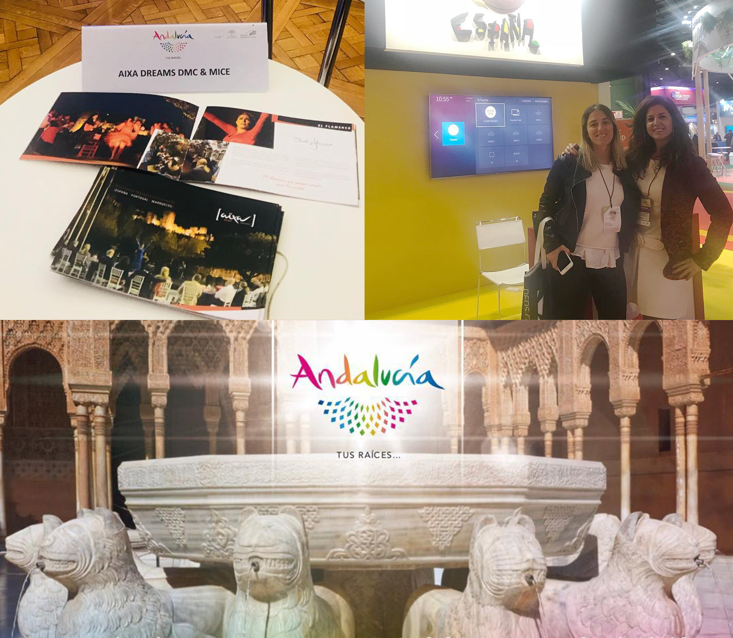 Aixa Dreams en Latinoamérica